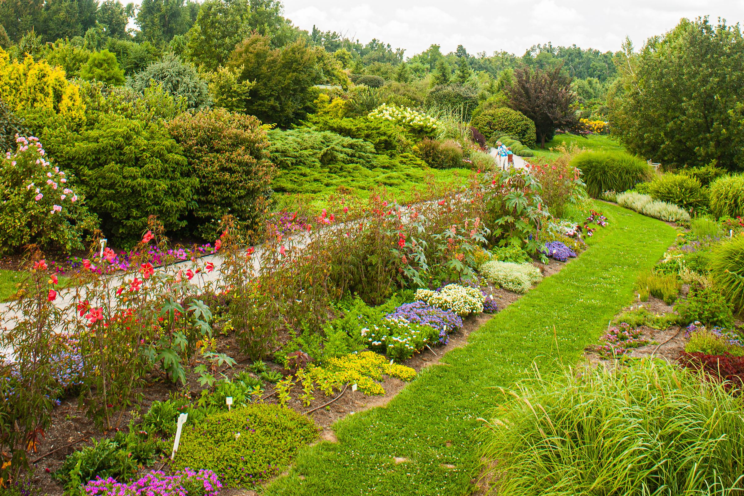 Flowers and a path in the Botanical and Horticultural Gardens