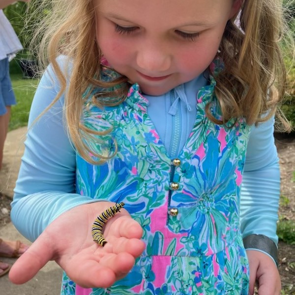 Child holding Monarch caterpillar