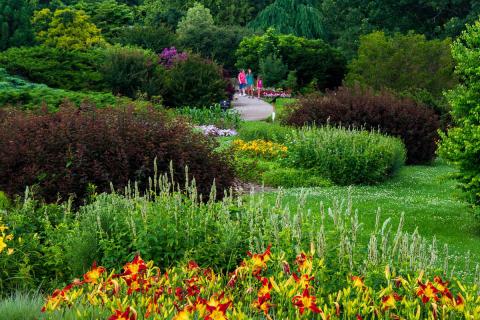 Guests walk on a path through flowers at The Arboretum
